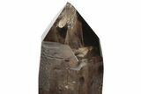 Massive Smoky Quartz Crystal ( lbs) - Brazil #206849-4